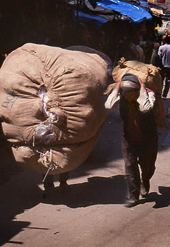 &copy; Fr�d�ric Jeorge - Tous droits r�serv�s