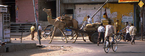 © Frédéric Jeorge - Tous droits réservés