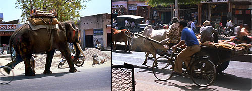 © Frédéric Jeorge - Tous droits réservés