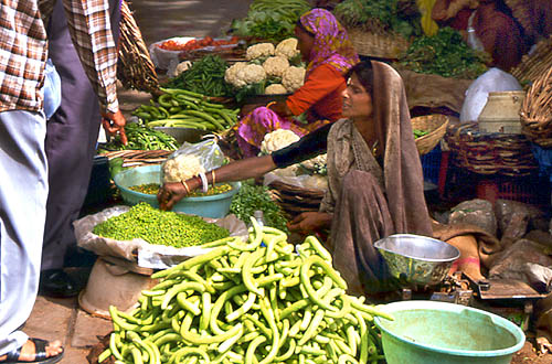 © Frédéric Jeorge - Tous droits réservés