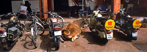 © Frédéric Jeorge - Tous droits réservés