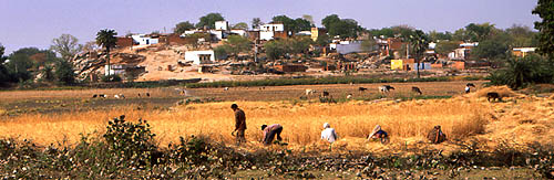 © Frédéric Jeorge - Tous droits réservés