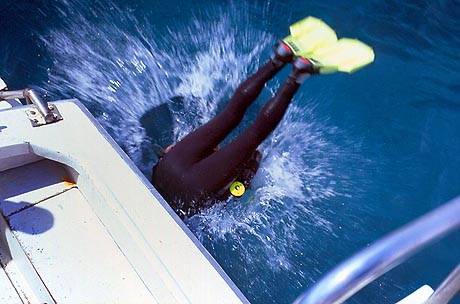 Copyright Fr�d�ric Jeorge