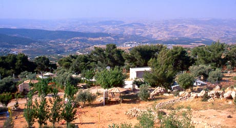 Copyright Fr�d�ric Jeorge