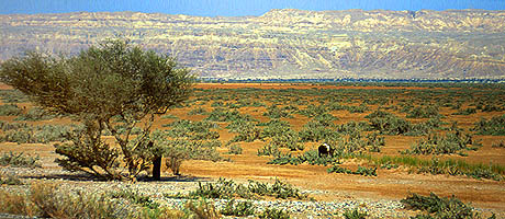 Copyright Fr�d�ric Jeorge