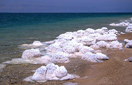 Copyright Fr�d�ric Jeorge