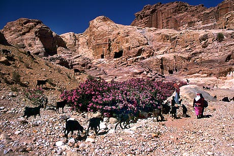 Copyright Fr�d�ric Jeorge