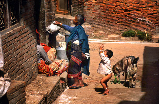 &copy; F. Jeorge - Tous droits r�serv�s