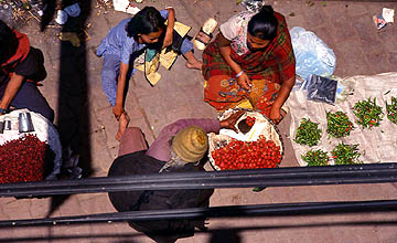 &copy; F. Jeorge - Tous droits r�serv�s