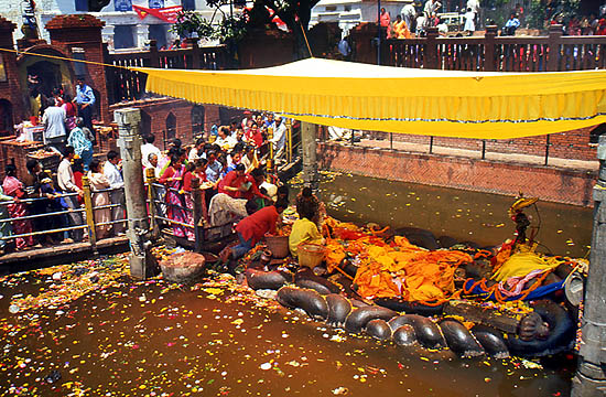 &copy; F. Jeorge - Tous droits r�serv�s