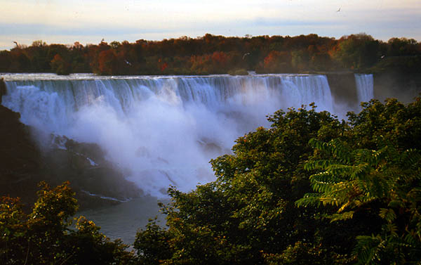 Copyright Fr�d�ric Jeorge - Tous droits r�serv�s