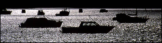 Copyright Frédéric Jeorge - Tous droits réservés