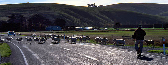 Copyright Frédéric Jeorge - Tous droits réservés