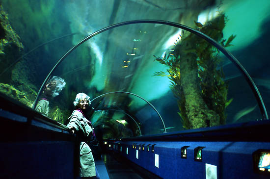 Copyright Fr�d�ric Jeorge - Tous droits r�serv�s