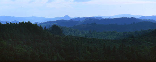 Copyright Frédéric Jeorge - Tous droits réservés