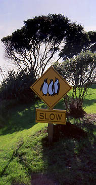 Copyright Frédéric Jeorge - Tous droits réservés