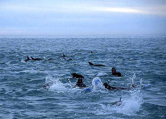 Copyright Fr�d�ric Jeorge - Tous droits r�serv�s