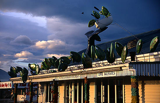 Copyright Fr�d�ric Jeorge - Tous droits r�serv�s