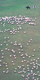 Copyright Fr�d�ric Jeorge - Tous droits r�serv�s