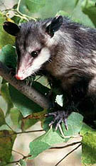 Tous droits r�serv�s