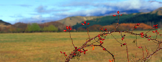 Copyright Fr�d�ric Jeorge - Tous droits r�serv�s