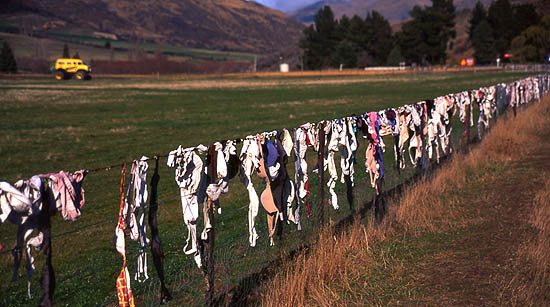 Copyright Fr�d�ric Jeorge - Tous droits r�serv�s