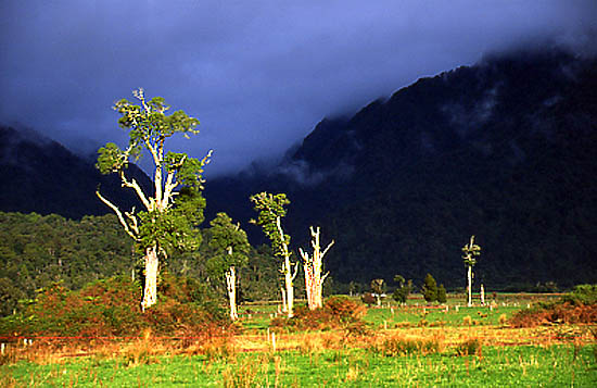 Copyright Frédéric Jeorge - Tous droits réservés