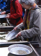 Copyright Fr�d�ric Jeorge - Tous droits r�serv�s