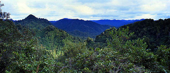 Copyright Fr�d�ric Jeorge - Tous droits r�serv�s