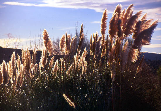 Copyright Fr�d�ric Jeorge - Tous droits r�serv�s