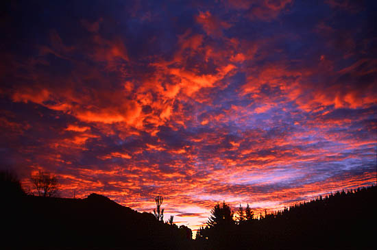 Copyright Fr�d�ric Jeorge - Tous droits r�serv�s