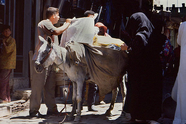 Livraison au marché - Copyright F. Jeorge