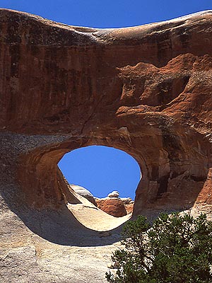 Copyright Fr�d�ric J.