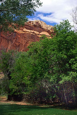 Copyright Fr�d�ric J.