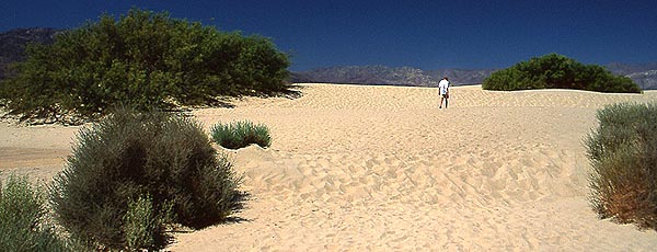 Copyright Fr�d�ric J.