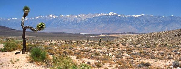 Copyright Fr�d�ric J.