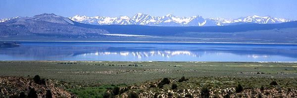 Copyright Fr�d�ric J.