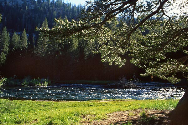 Copyright Fr�d�ric J.