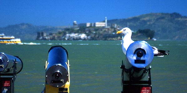 Copyright Fr�d�ric J.