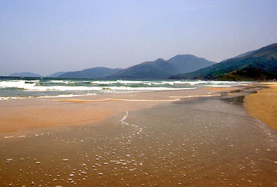 &copy; F. Jeorge ou L. Gourgeon