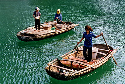 &copy; F. Jeorge ou L. Gourgeon