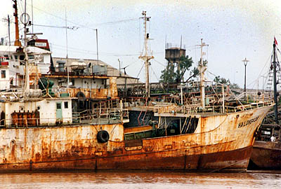 &copy; F. Jeorge ou L. Gourgeon