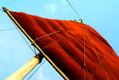 &copy; F. Jeorge ou L. Gourgeon