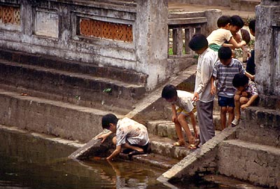 © F. Jeorge ou L. Gourgeon