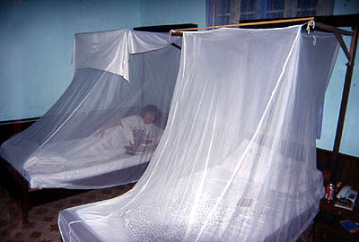 © F. Jeorge ou L. Gourgeon