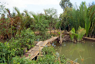 &copy; F. Jeorge ou L. Gourgeon